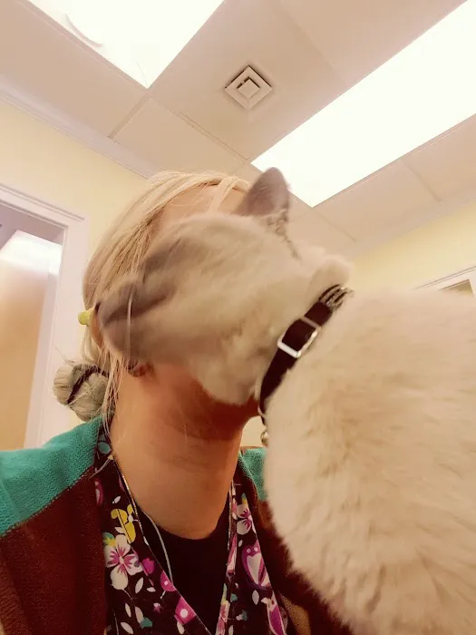 Woodbridge Veterinary Hospital Picture 6