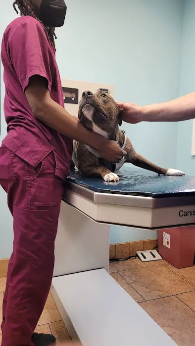 Woodbridge Veterinary Hospital Picture 8