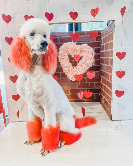 Max's Pet Market & Salon Picture 8