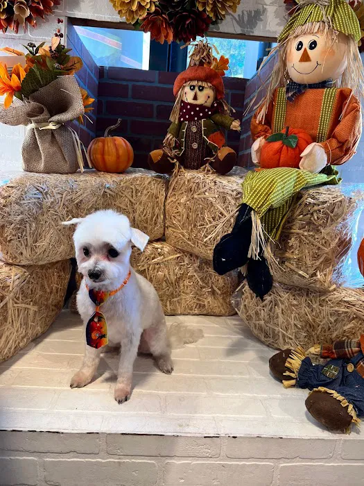Max's Pet Market & Salon Picture 2