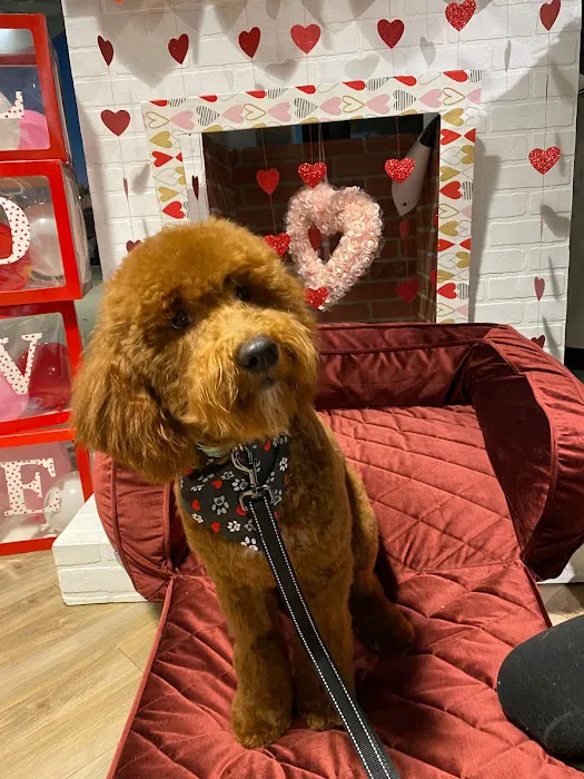 Max's Pet Market & Salon Picture 7