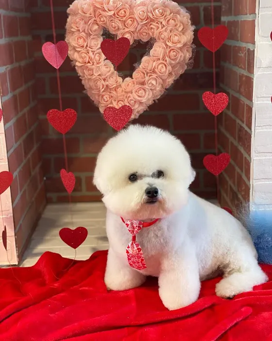 Max's Pet Market & Salon Picture 3