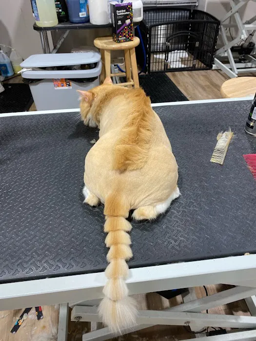 Max's Pet Market & Salon Picture 6