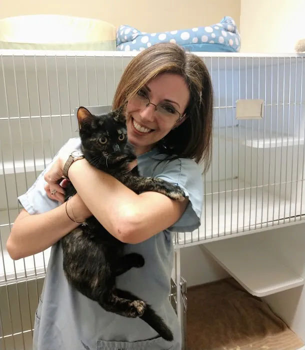 New England Cat Care Picture 5