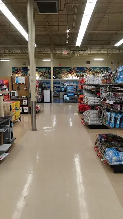 Petco Picture 7