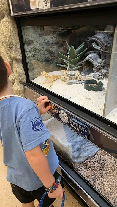 Petco Picture 4