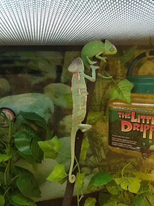 Petco Picture 2