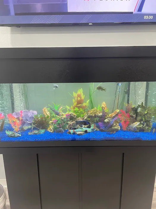 Aquariums of the Bay Picture 3