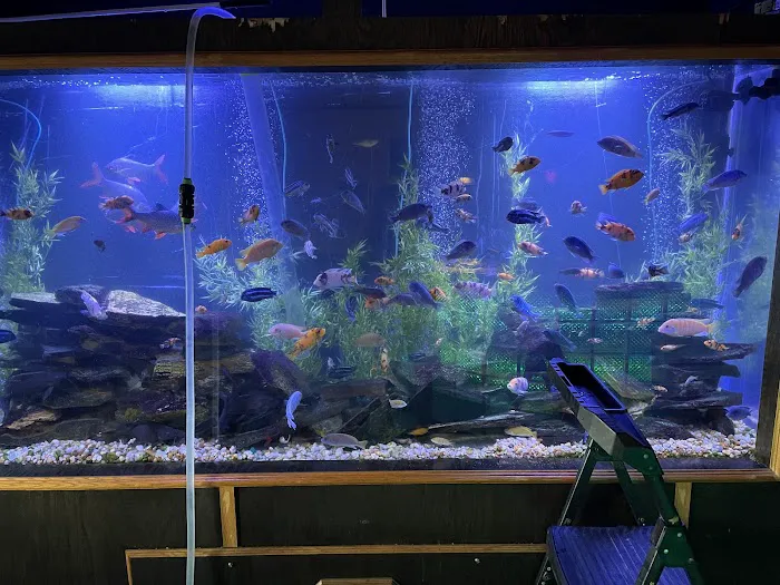 Aquariums of the Bay Picture 5