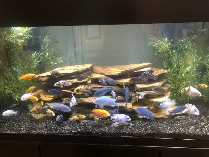 Aquariums of the Bay Picture 4
