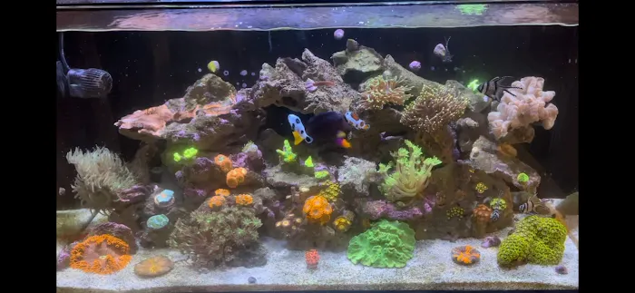 Aquariums of the Bay Picture 6