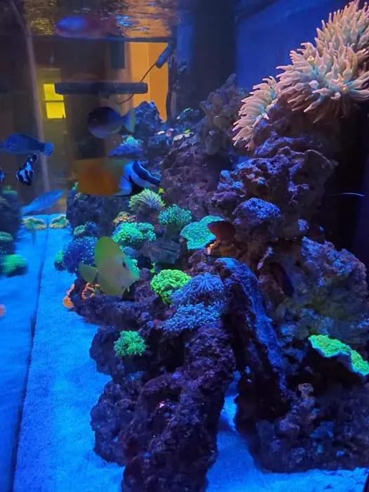 Aquariums of the Bay Picture 7
