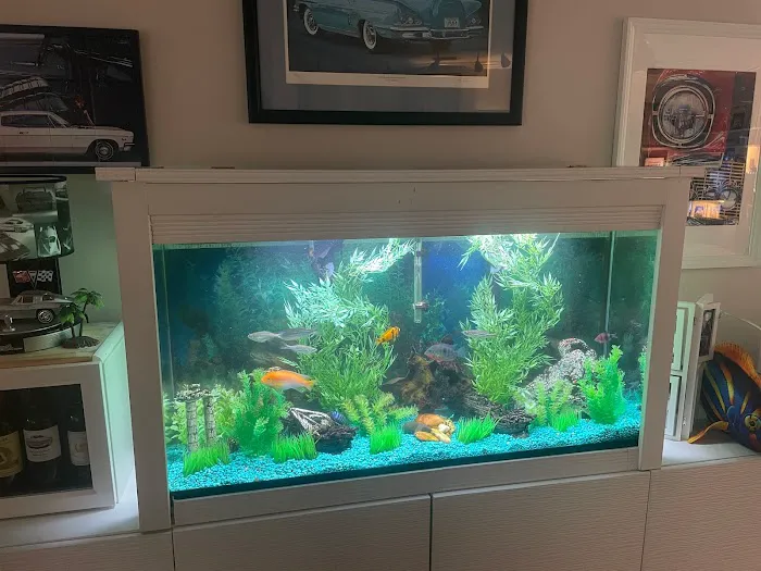 Aquariums of the Bay Picture 2