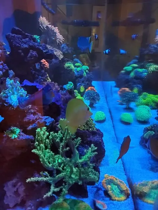 Aquariums of the Bay Picture 8
