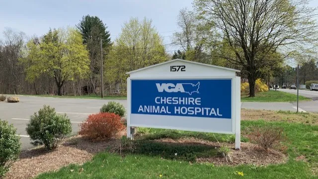 VCA Cheshire Animal Hospital Picture 5