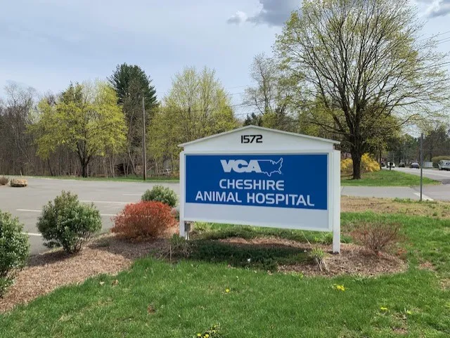 VCA Cheshire Animal Hospital Picture 9