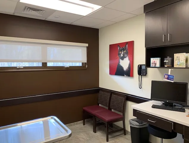VCA Cheshire Animal Hospital Picture 8