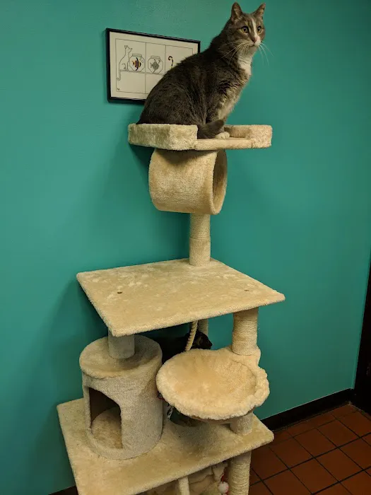 Mount Carmel Veterinary Hospital Picture 7