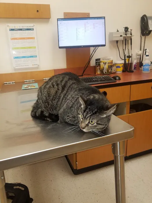 Banfield Pet Hospital Picture 6