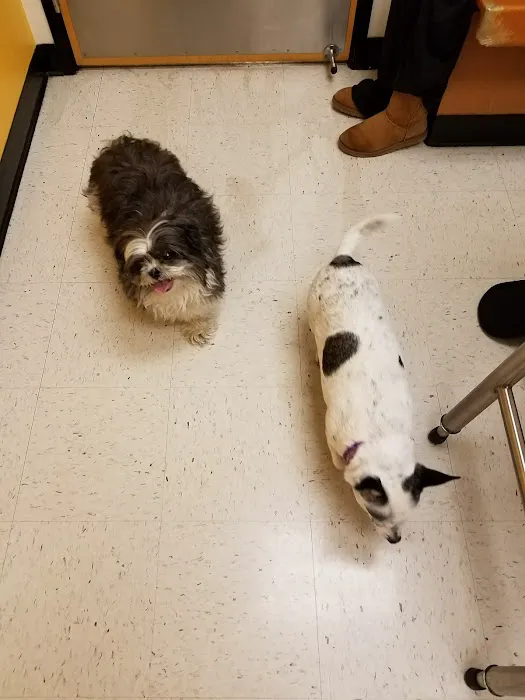 Banfield Pet Hospital Picture 5
