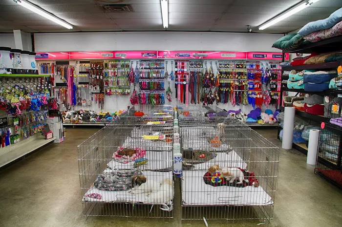 Pet World - Auburndale Picture 4