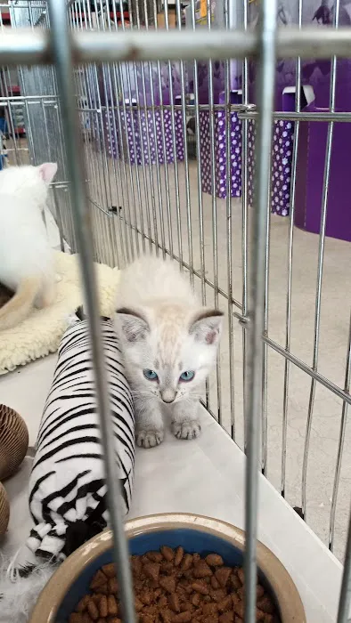 Pet World - Auburndale Picture 9
