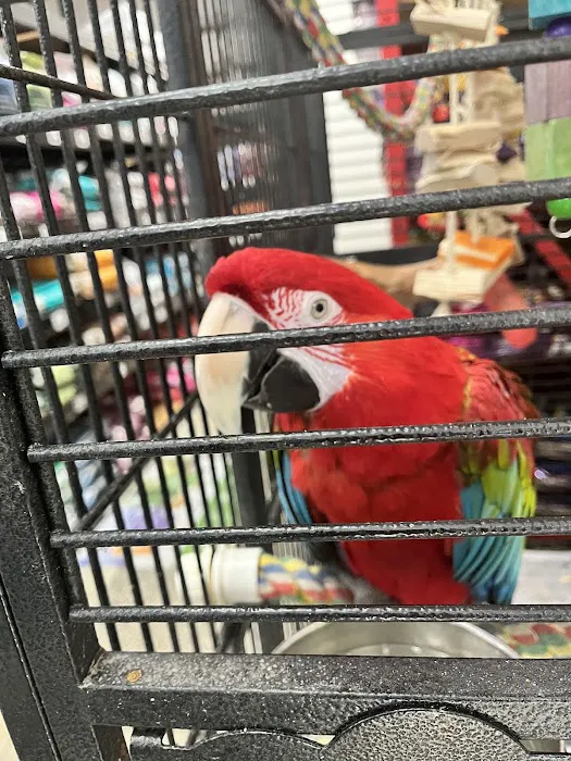 Pet World - Auburndale Picture 3