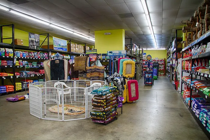 Pet World - Auburndale Picture 8