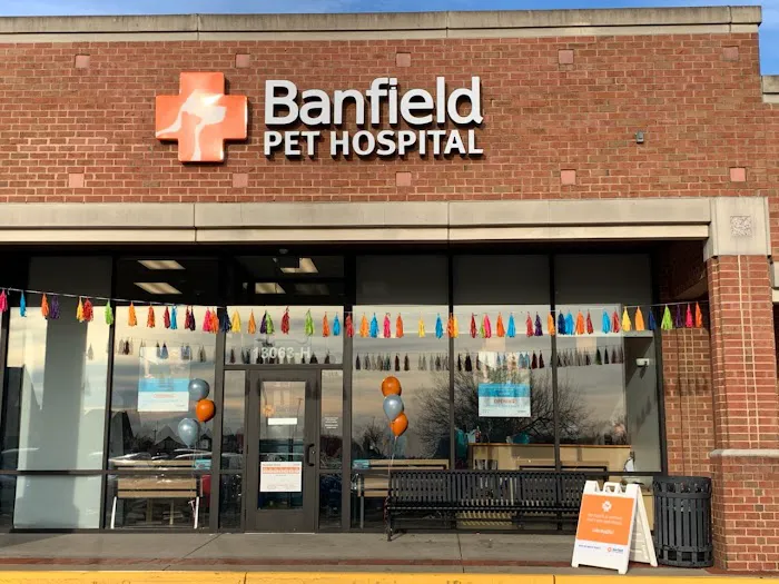 Banfield Pet Hospital Picture 6