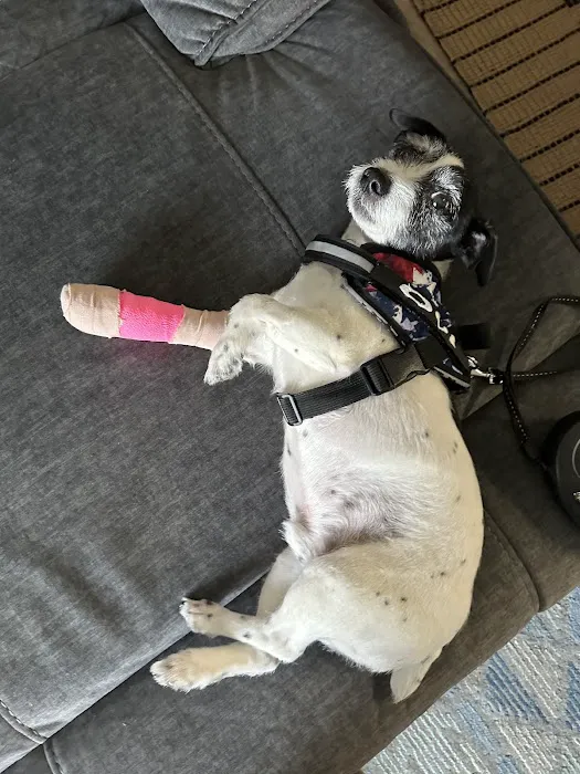 Fairfax Ridge Animal Hospital Picture 8