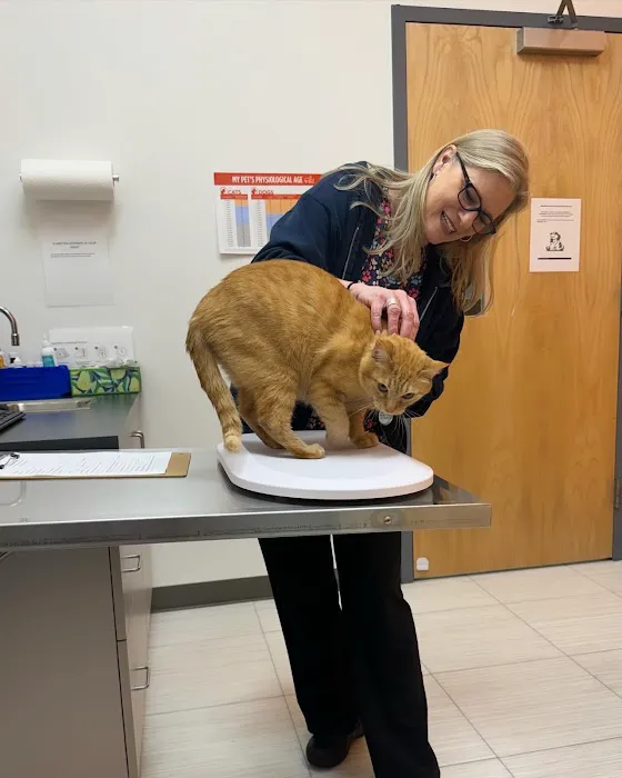 Fairfax Ridge Animal Hospital Picture 3
