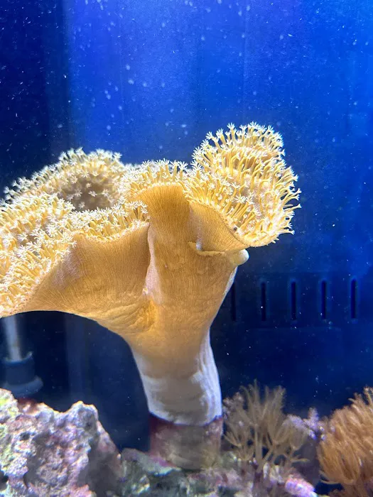 Fishtastic Aquarium Picture 1