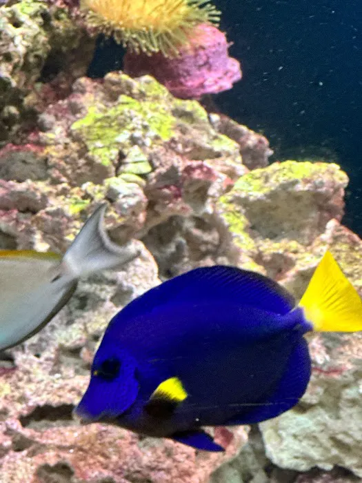 Fishtastic Aquarium Picture 2