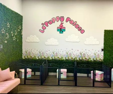 Le'Puppy Palace