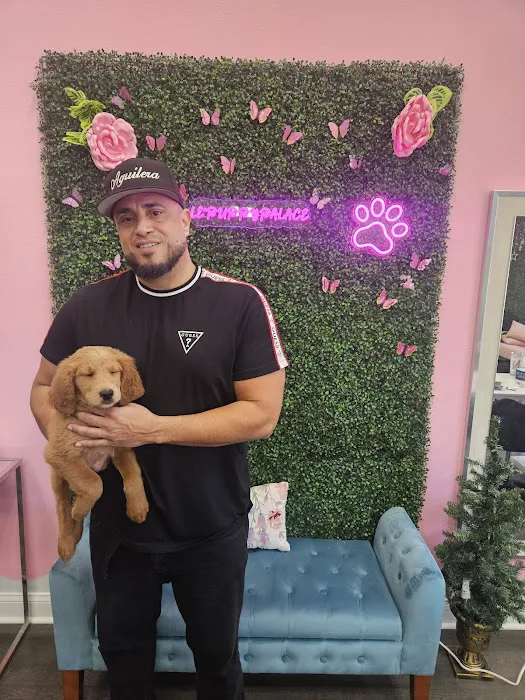 Le'Puppy Palace Picture 4