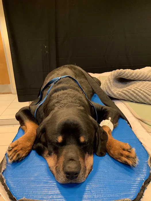 Pender Veterinary Centre - Fairfax (24/7 Emergency) Picture 1