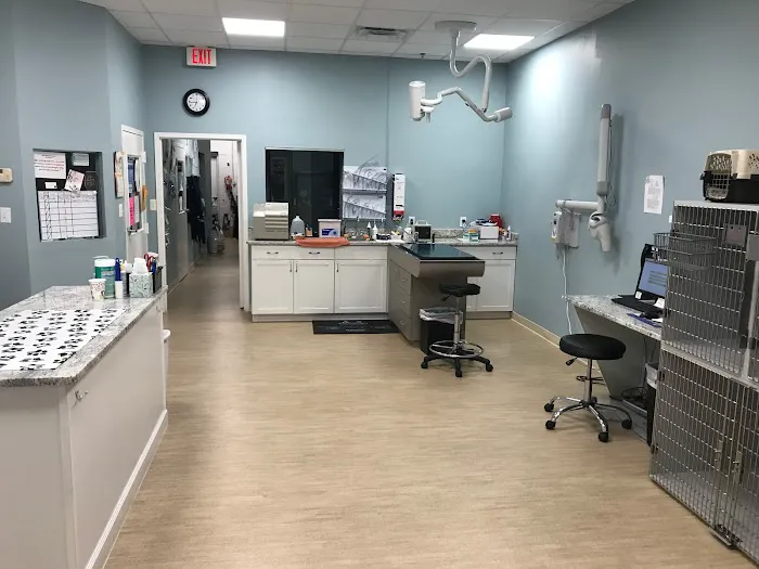 Ashburn Village Animal Hospital Picture 1