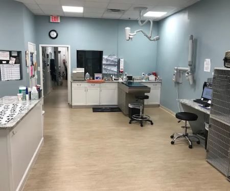Ashburn Village Animal Hospital