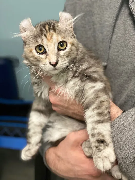 Ashburn Village Animal Hospital Picture 5