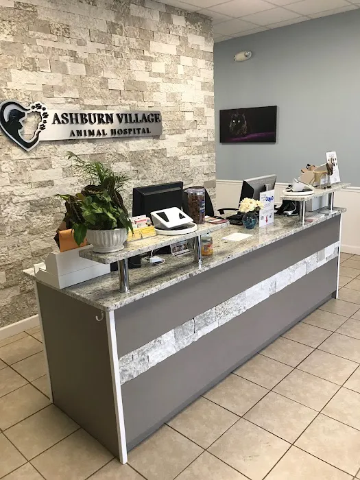 Ashburn Village Animal Hospital Picture 7