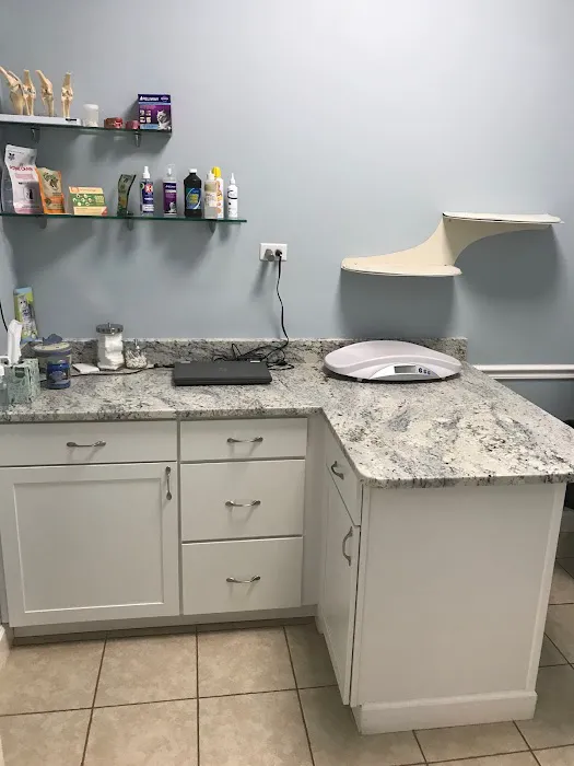 Ashburn Village Animal Hospital Picture 6