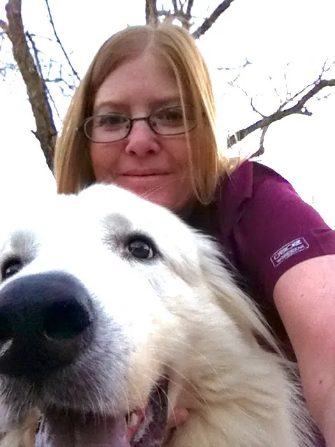 Ashburn Village Animal Hospital Picture 4