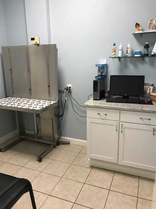 Ashburn Village Animal Hospital Picture 3