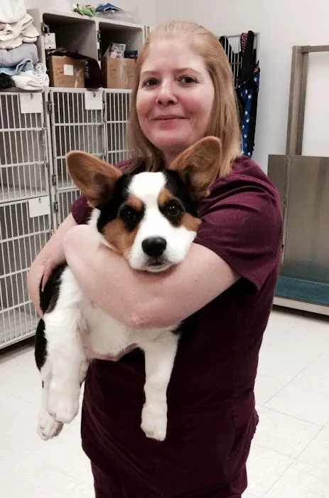 Ashburn Village Animal Hospital Picture 2
