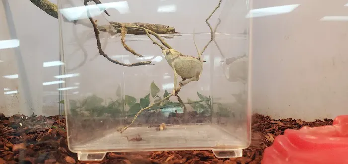 Pet Supermarket Picture 5