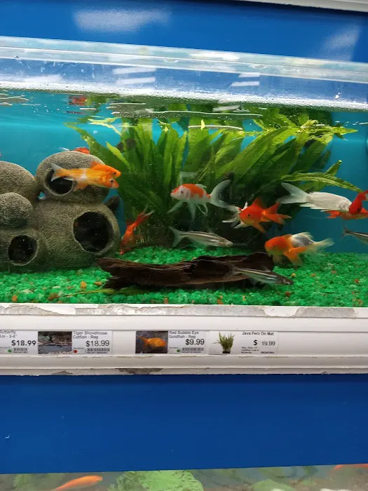 Pet Supermarket Picture 2