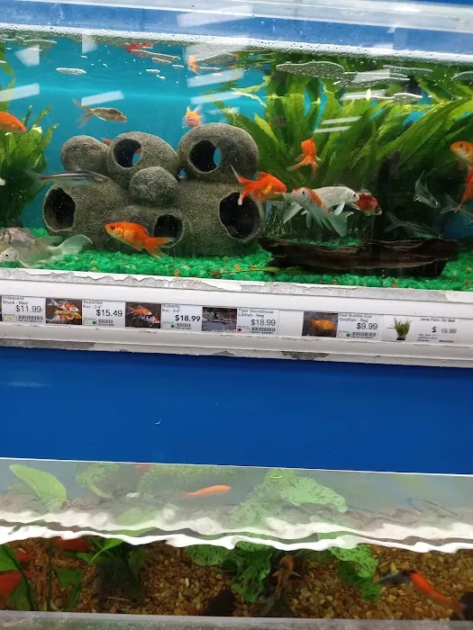 Pet Supermarket Picture 3