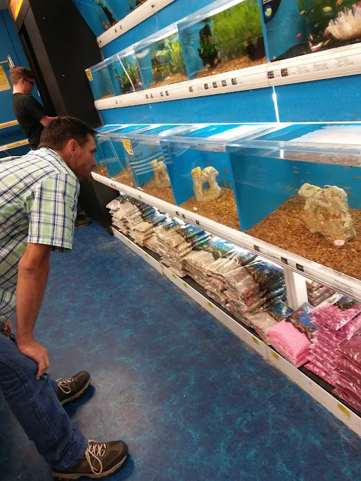 Pet Supermarket Picture 9