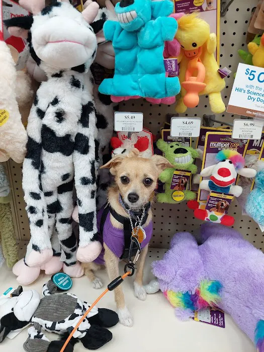 Pet Supermarket Picture 6