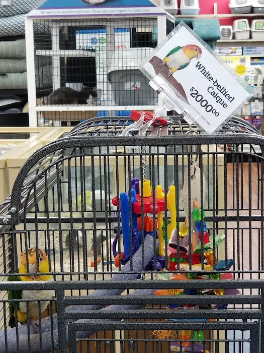 Pet Supermarket Picture 10